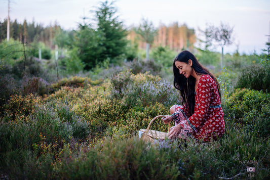 Free Wild Food Foraging Video Part One