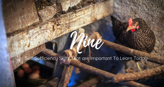 The Top Nine Practical Skills to Increase Your Self-Sufficiency