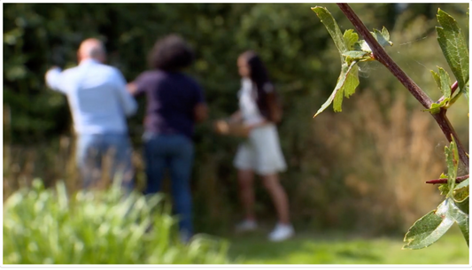 When BBC's Escape to the Country Came to Wild Harvest School!