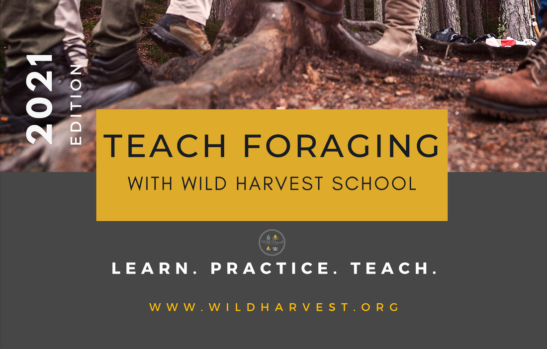 Read Our 'Teach Foraging' Course Prospectus