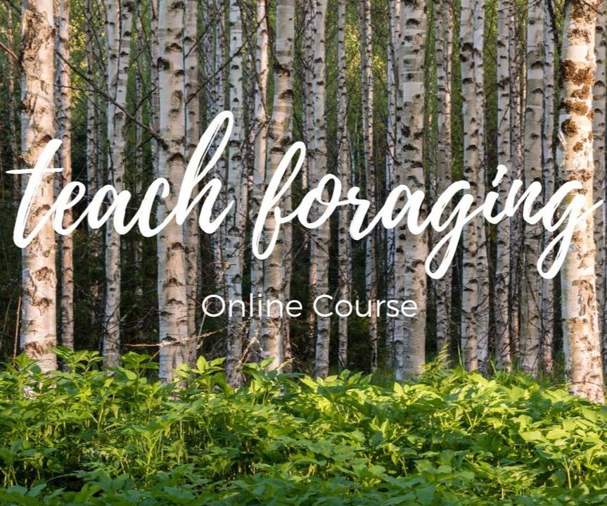 Teach Foraging