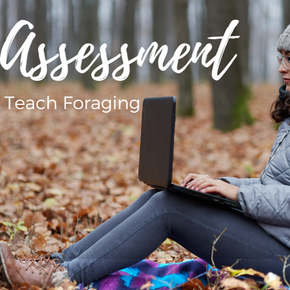 Teach Foraging Assessment