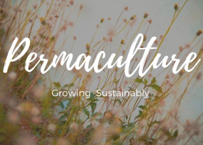 Online Permaculture Course