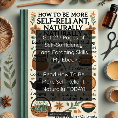 How To Be More Self-Reliant, Naturally.