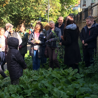 Wild Food Foraging Walk, York