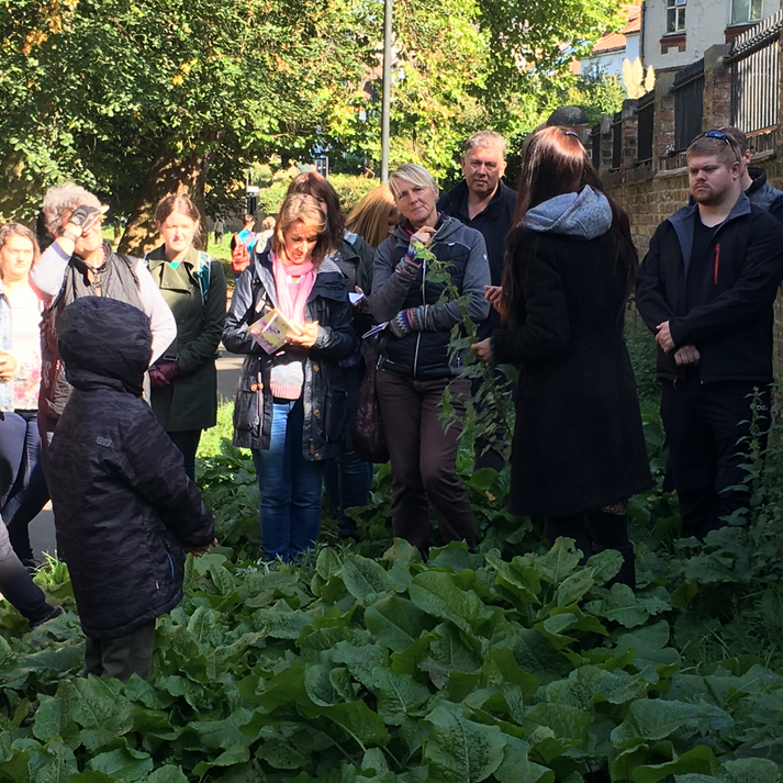 Wild Food Walk York – Wild Harvest School